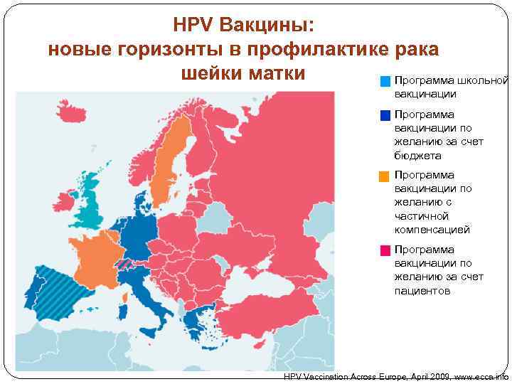 HPV Вакцины: новые горизонты в профилактике рака шейки матки Программа школьной вакцинации Программа вакцинации