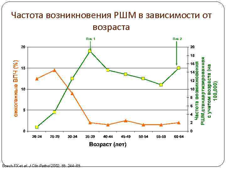 Частота возникновения РШМ в зависимости от возраста Пик 1 Bosch FX et al. J