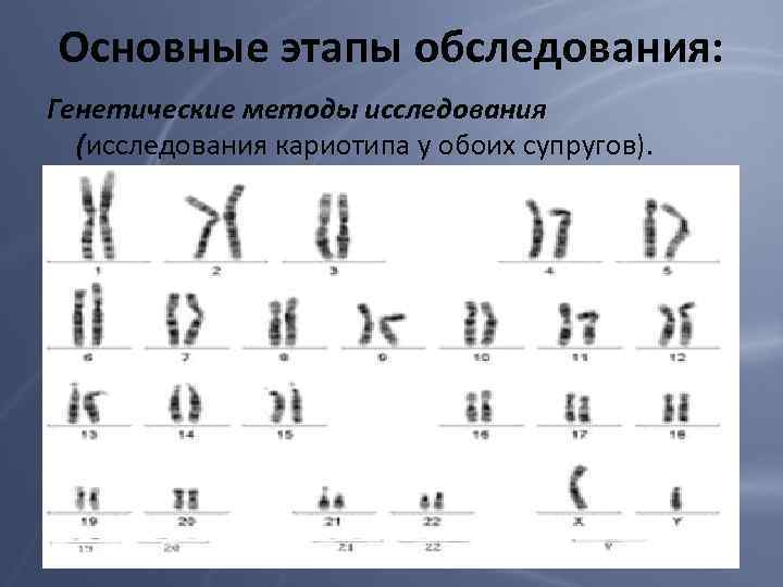 Основные этапы обследования: Генетические методы исследования (исследования кариотипа у обоих супругов). Женские хромосомы после