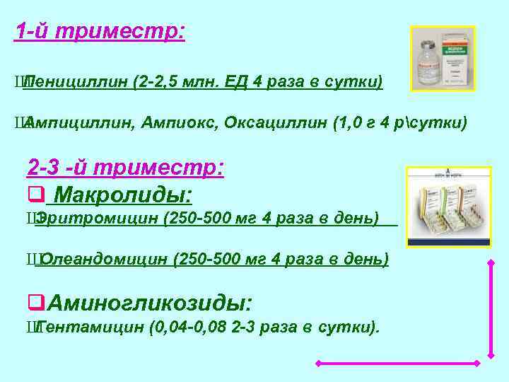 1 й триместр: Ш Пенициллин (2 2, 5 млн. ЕД 4 раза в сутки)