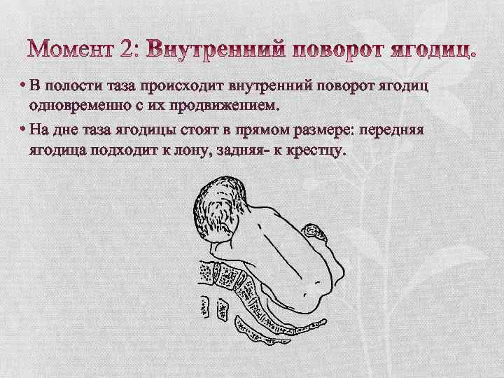  • В полости таза происходит внутренний поворот ягодиц одновременно с их продвижением. •