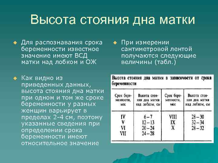 Высота стояния дна матки u Для распознавания срока беременности известное значение имеют ВСД матки