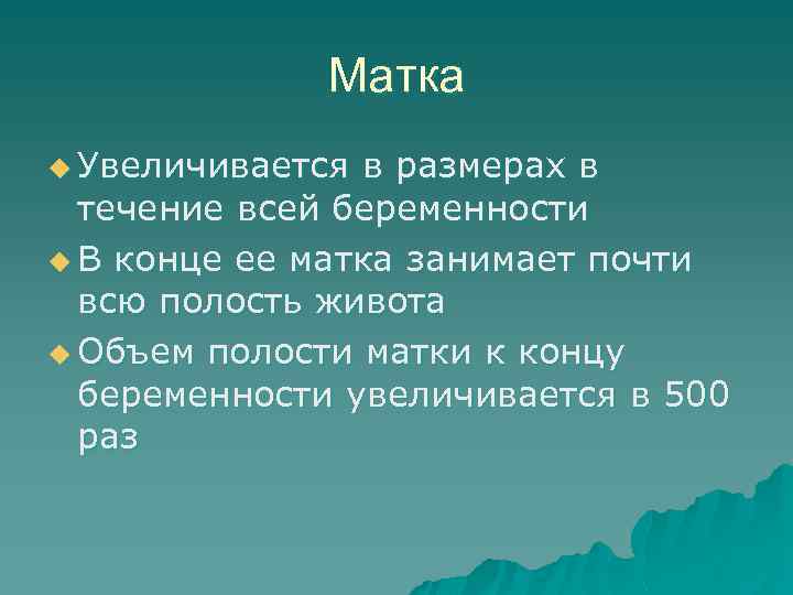 Матка u Увеличивается в размерах в течение всей беременности u В конце ее матка