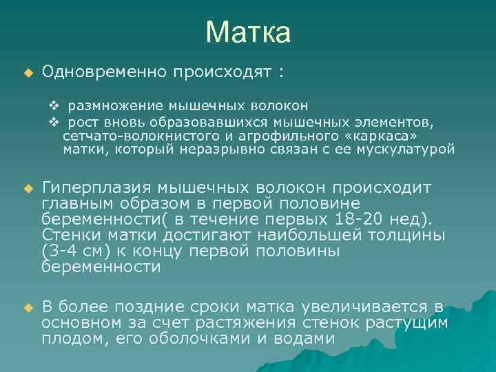 Матка u Одновременно происходят : v размножение мышечных волокон v рост вновь образовавшихся мышечных