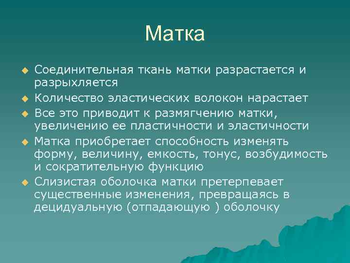 Матка u u u Соединительная ткань матки разрастается и разрыхляется Количество эластических волокон нарастает