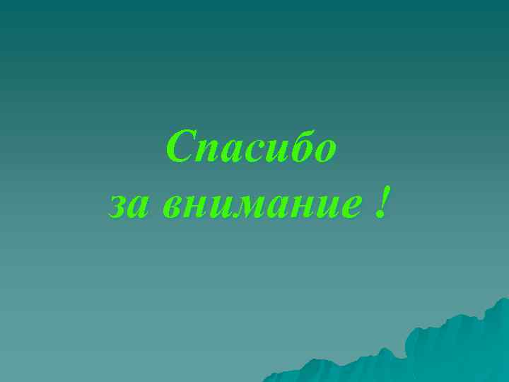 Спасибо за внимание ! 