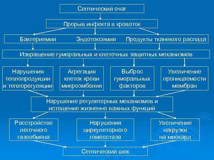 Септический очаг Прорыв инфекта в кровоток Бактериемия Эндотоксемия Продукты тканевого распада Извращение гуморальных и