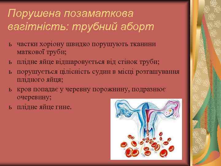 Порушена позаматкова вагітність: трубний аборт ь частки хоріону швидко порушують тканини маткової труби; ь