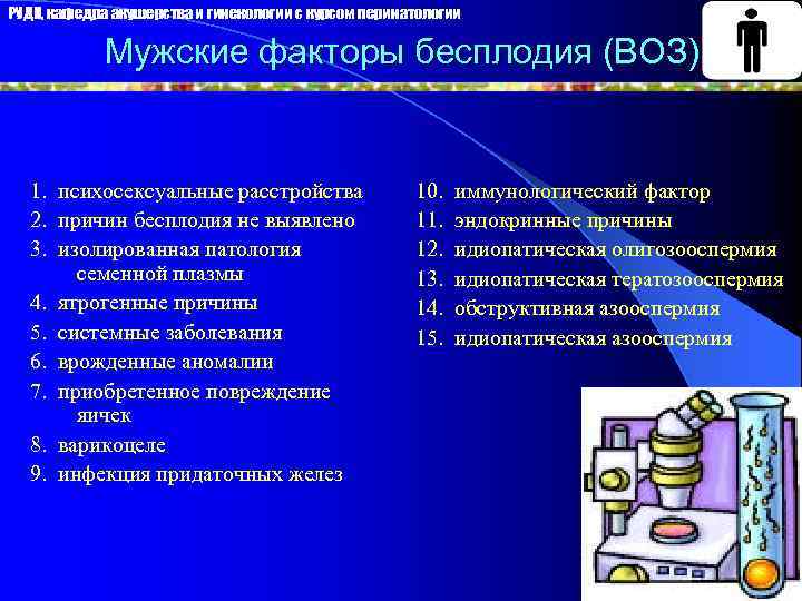 РУДН, кафедра акушерства и гинекологии с курсом перинатологии Мужские факторы бесплодия (ВОЗ) 1. психосексуальные