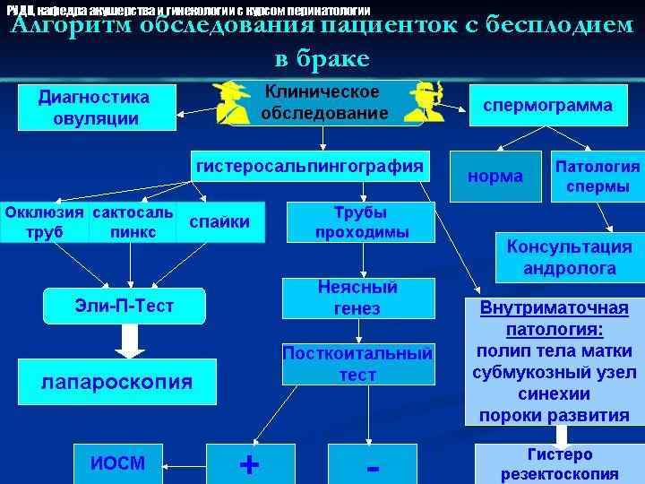 РУДН, кафедра акушерства и гинекологии с курсом перинатологии 