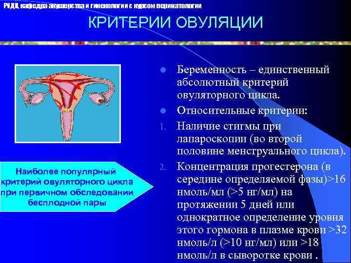 Абсолютный единственный. Овуляция Акушерство и гинекология. Оценка овуляторной функции.