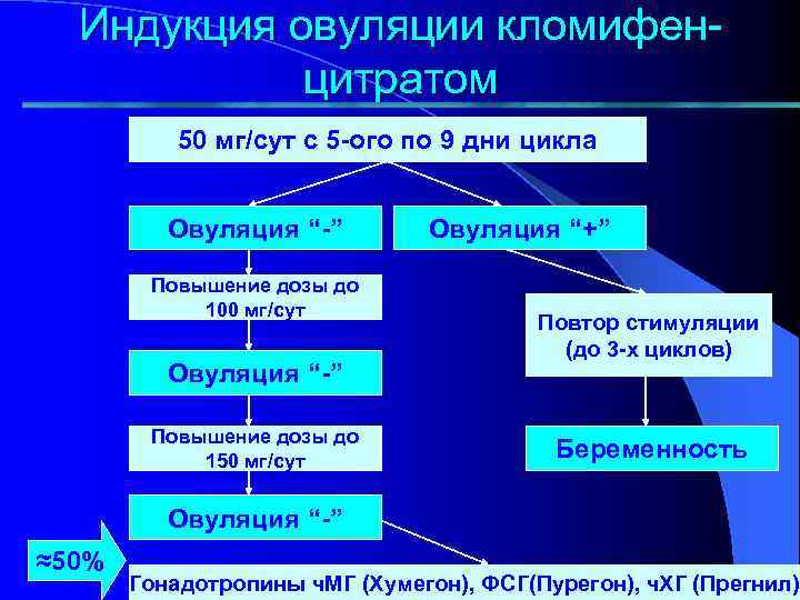 Индукция овуляции кломифенцитратом 50 мг/сут с 5 -ого по 9 дни цикла Овуляция “-”