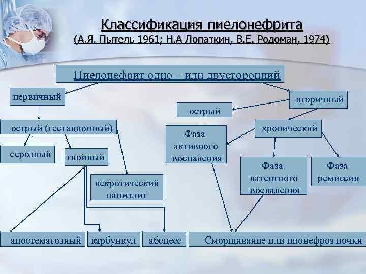 Схема патогенеза пиелонефрита