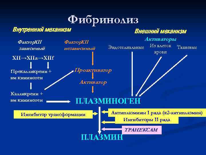 Фибринолиз Внутренний механизм Фактор. XII зависимый Внешний механизм Фактор. XII независимый Активаторы Эндотелиальные Из