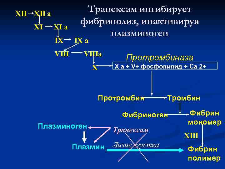 XII a XI XI a IX VIII Транексам ингибирует фибринолиз, инактивируя плазминоген IX a