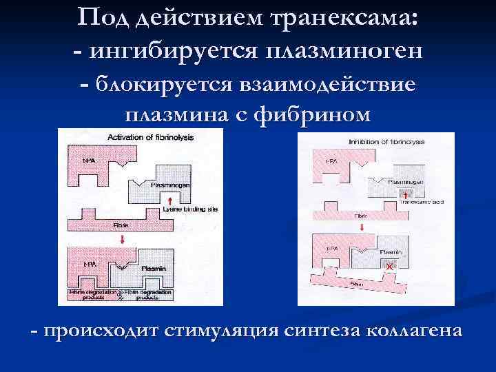 Под действием транексама: - ингибируется плазминоген - блокируется взаимодействие плазмина с фибрином - происходит
