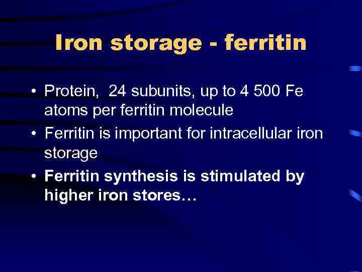 Iron storage - ferritin • Protein, 24 subunits, up to 4 500 Fe atoms