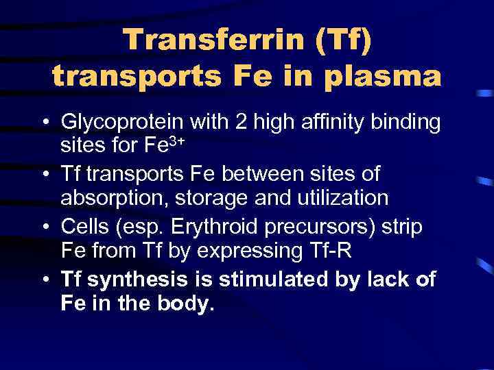 Transferrin (Tf) transports Fe in plasma • Glycoprotein with 2 high affinity binding sites