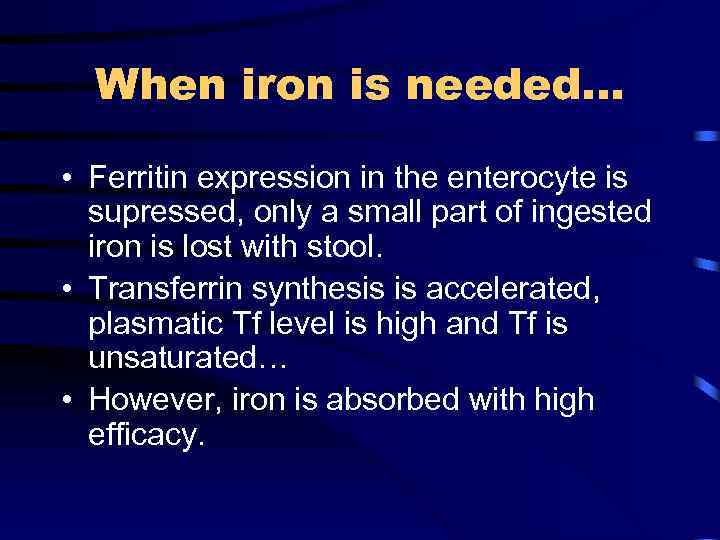 When iron is needed… • Ferritin expression in the enterocyte is supressed, only a