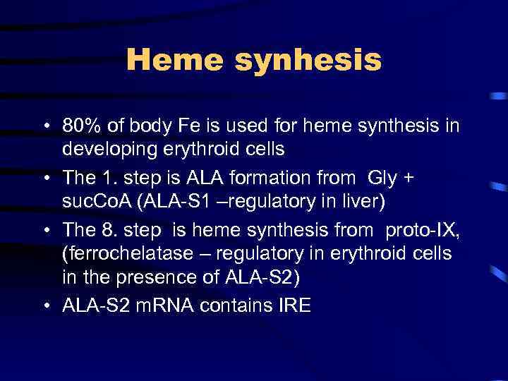 Heme synhesis • 80% of body Fe is used for heme synthesis in developing