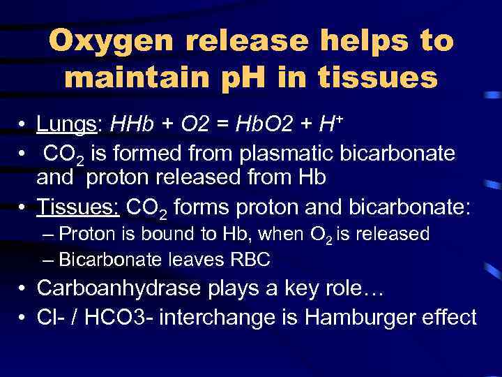 Oxygen release helps to maintain p. H in tissues • Lungs: HHb + O