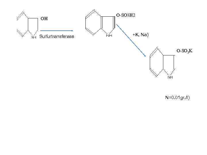  O-SO 3 H 2 OH PAPS ( +K, Na) Sulfurtransferase INDOXYLULFATE O-SO 3