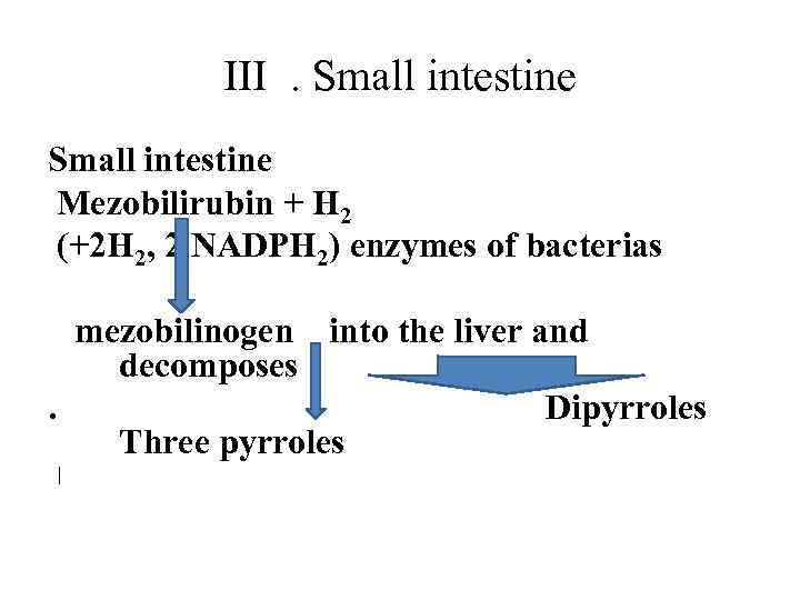 III . Small intestine Mezobilirubin + H 2 (+2 H 2, 2 NADPH 2)