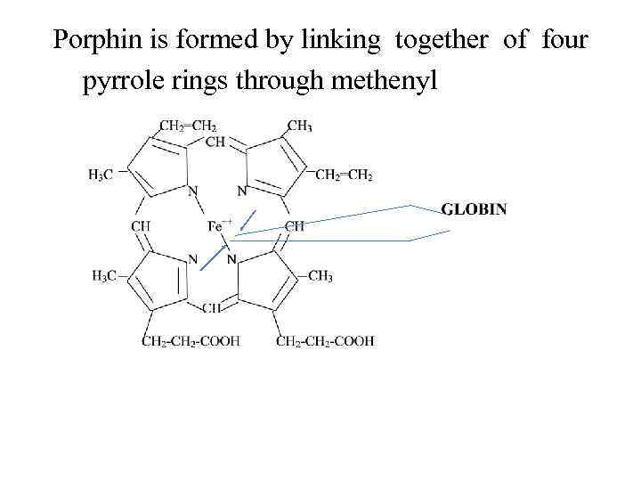 Porphin is formed by linking together of four pyrrole rings through methenyl bridges. 