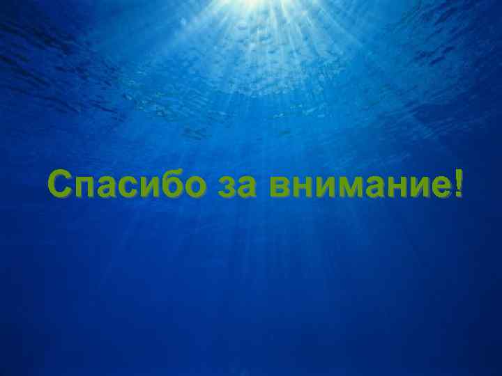 Спасибо за внимание! 