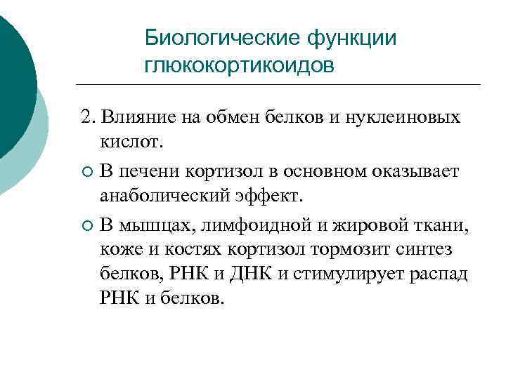Биологические функции глюкокортикоидов 2. Влияние на обмен белков и нуклеиновых кислот. ¡ В печени