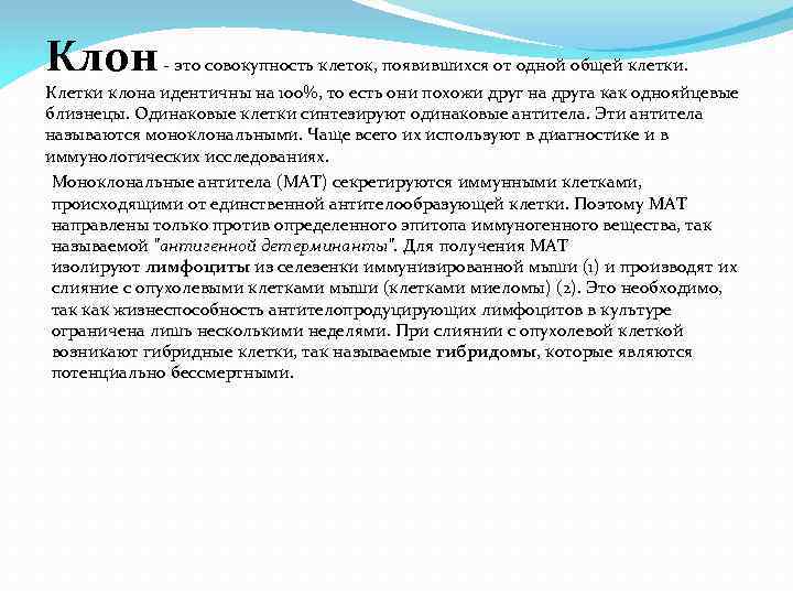Клон - это совокупность клеток, появившихся от одной общей клетки. Клетки клона идентичны на