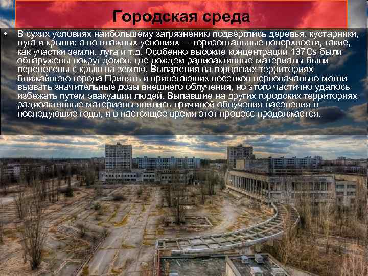 Городская среда • В сухих условиях наибольшему загрязнению подверглись деревья, кустарники, луга и крыши;