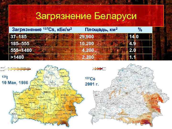 Загрязнение Беларуси Загрязнение 137 Cs, к. Бк/м 2 37– 185– 555– 1480 >1480 131