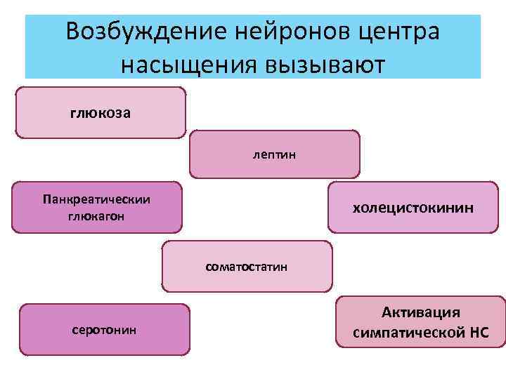 Возбуждение нейронов центра насыщения вызывают глюкоза лептин Панкреатическии глюкагон холецистокинин соматостатин серотонин Активация симпатической