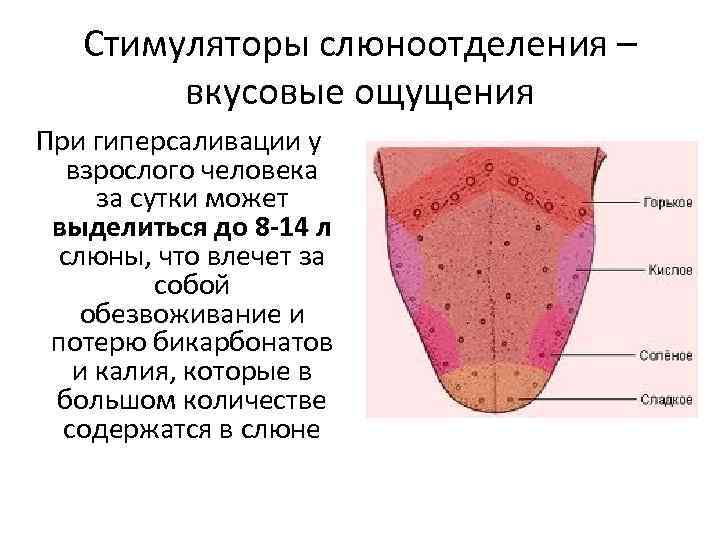 Стимуляторы слюноотделения – вкусовые ощущения При гиперсаливации у взрослого человека за сутки может выделиться