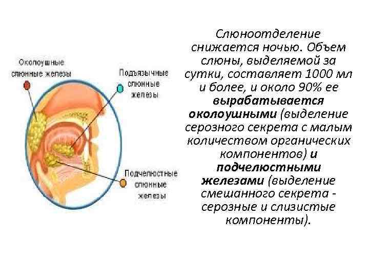 Анемия пропедевтика внутренних болезней презентация