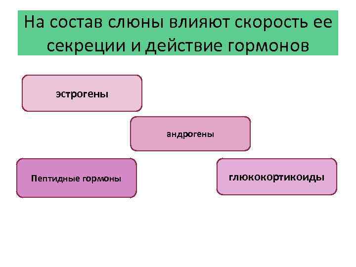 На состав слюны влияют скорость ее секреции и действие гормонов эстрогены андрогены Пептидные гормоны