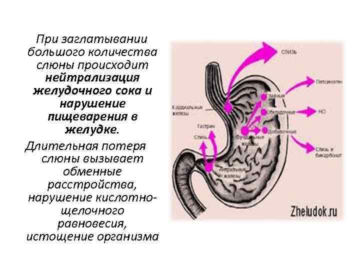 При заглатывании большого количества слюны происходит нейтрализация желудочного сока и нарушение пищеварения в желудке.