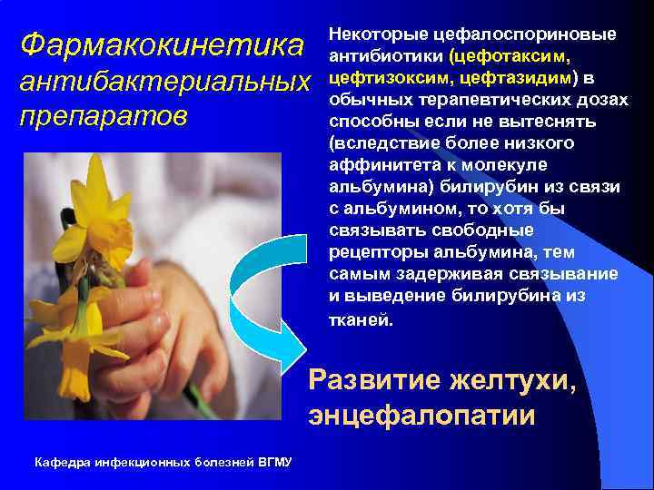 Фармакокинетика антибактериальных препаратов Некоторые цефалоспориновые антибиотики (цефотаксим, цефтизоксим, цефтазидим) в обычных терапевтических дозах способны