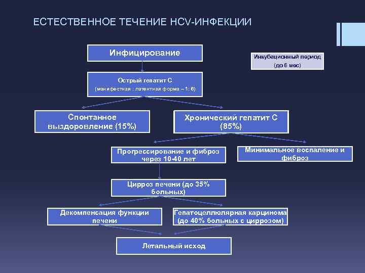 ЕСТЕСТВЕННОЕ ТЕЧЕНИЕ HCV-ИНФЕКЦИИ Инфицирование Инкубационный период (до 6 мес) Острый гепатит С (манифестная :