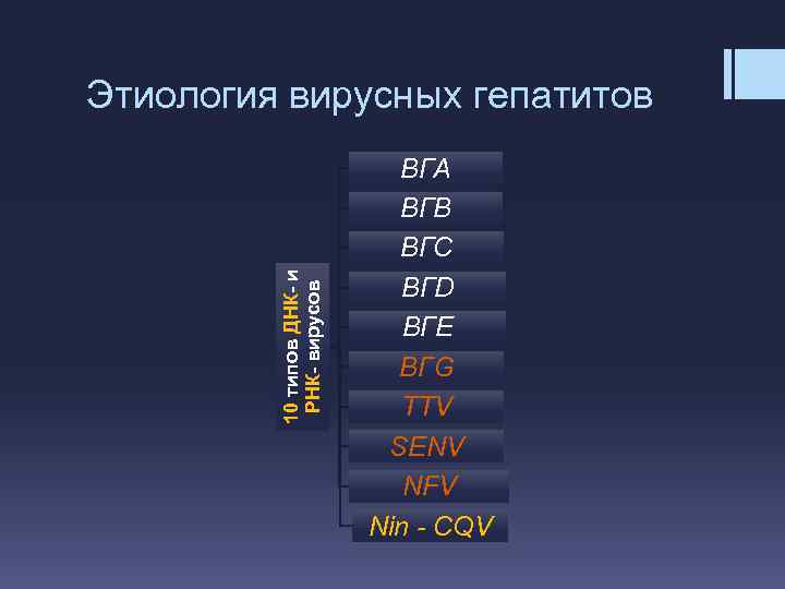 10 типов ДНК- и РНК- вирусов Этиология вирусных гепатитов ВГА ВГВ ВГС ВГD ВГЕ