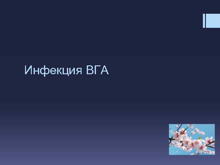 Инфекция ВГА 