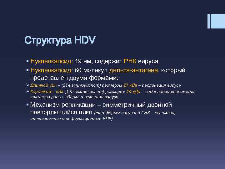 Структура HDV § Нуклеокапсид: 19 нм, содержит РНК вируса § Нуклеокапсид: 60 молекул дельта-антигена,