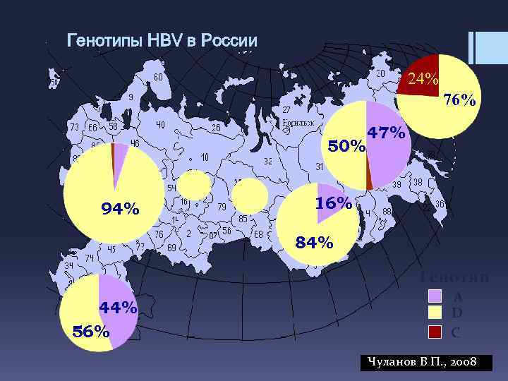 Генотипы HBV в России 24% 76% 50% 94% 47% 16% 84% Генотип 44% 56%