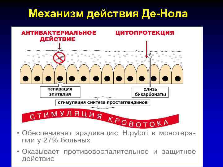 Механизм действия Де-Нола 