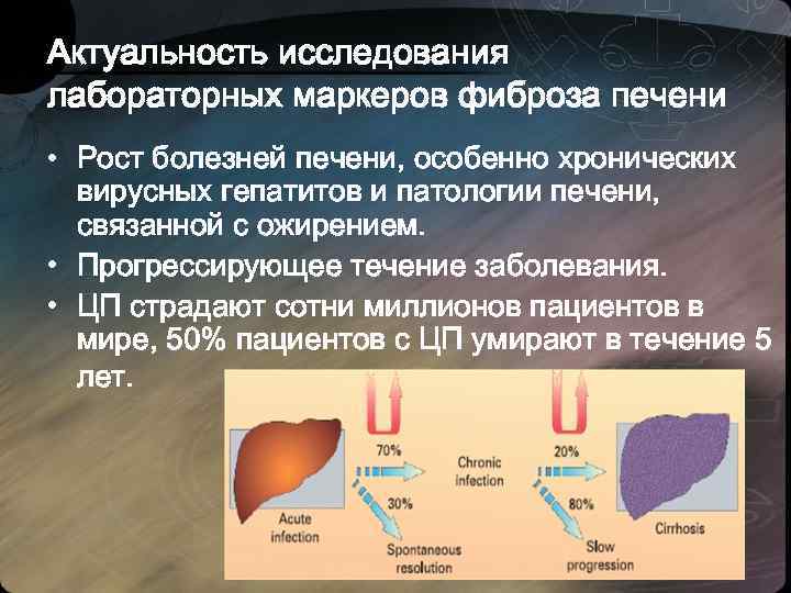 Актуальность исследования лабораторных маркеров фиброза печени • Рост болезней печени, особенно хронических вирусных гепатитов