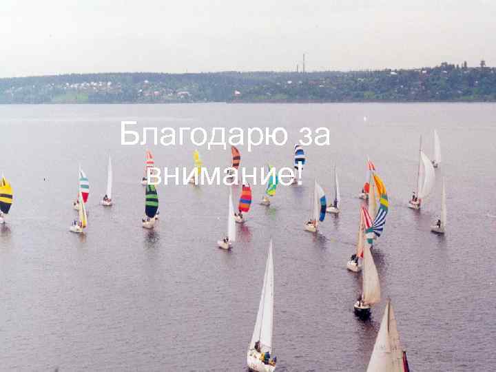 Благодарю за внимание! за внимание ! 