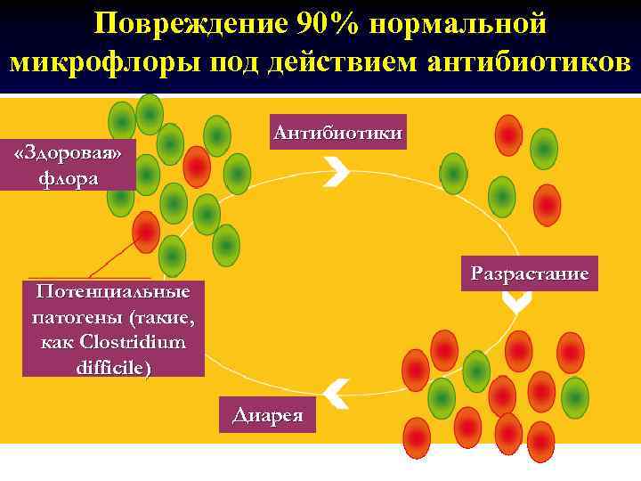 Повреждение 90% нормальной микрофлоры под действием антибиотиков «Здоровая» флора Антибиотики Разрастание Потенциальные патогены (такие,