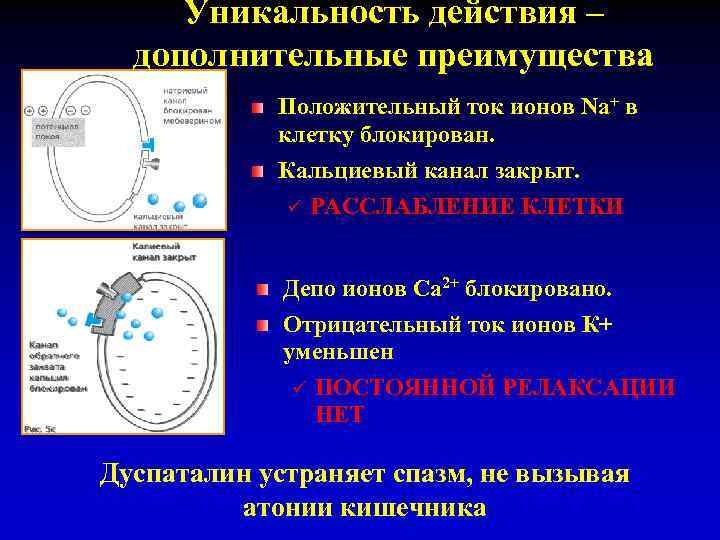 Уникальность действия – дополнительные преимущества Положительный ток ионов Na+ в клетку блокирован. Кальциевый канал