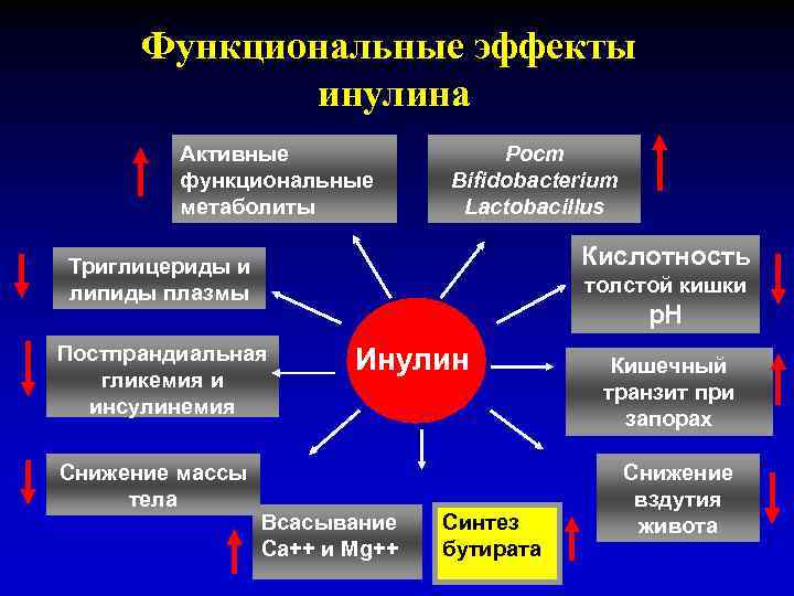 Функциональные эффекты инулина Активные функциональные метаболиты Рост Bifidobacterium Lactobacillus Кислотность Триглицериды и липиды плазмы